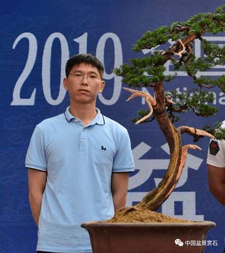 图解 杨建怎么制作真柏盆景的18个过程