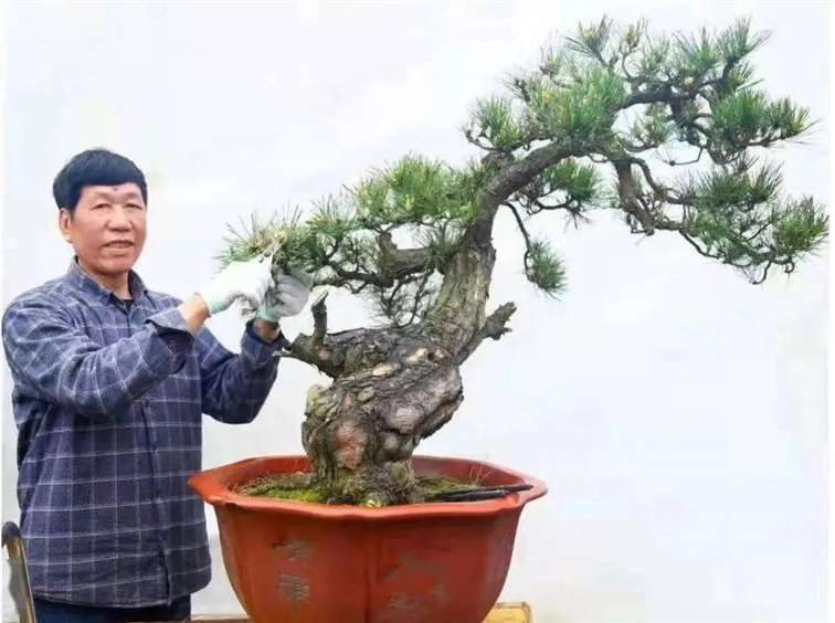 马荣成 中国盆景艺术家协会副会长