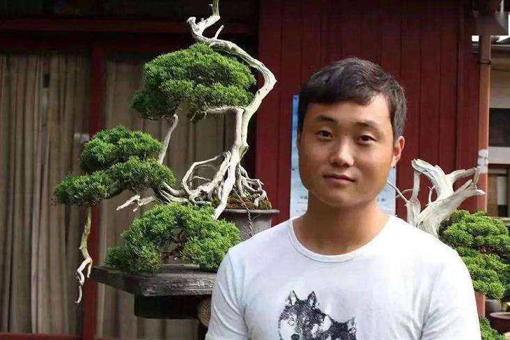 图解 黑松盆景怎么拿弯改作的11个步骤