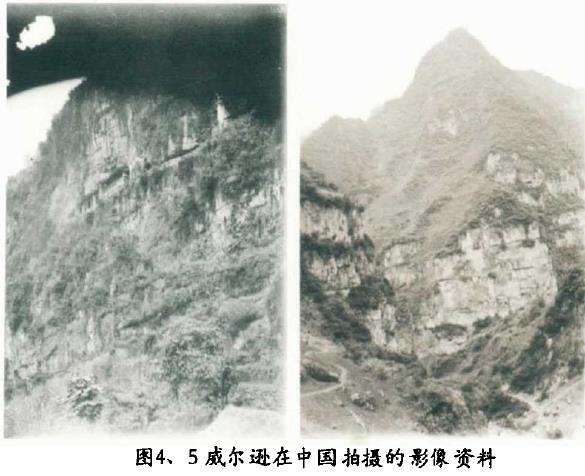 园艺水平低下的问题严重制约行业发展