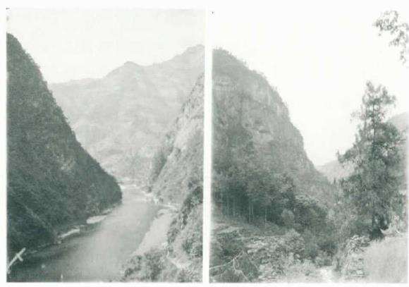 园艺水平低下的问题严重制约行业发展