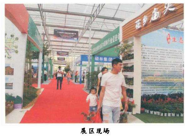 第五届中国精品盆景沐阳邀请展