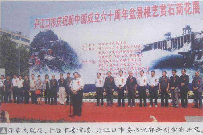 丹江口盆景赏石根艺菊花展