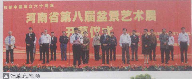 河南省第八届盆景艺术展在郑州举办