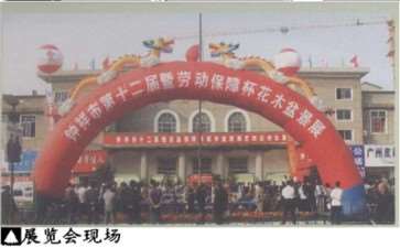 2009年 钟祥市第十二届花木盆景展