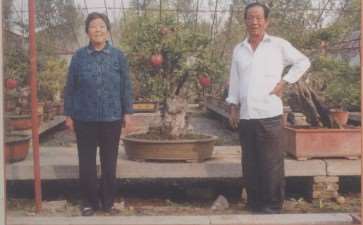 王树杰任董事长的金典盆景园林公司