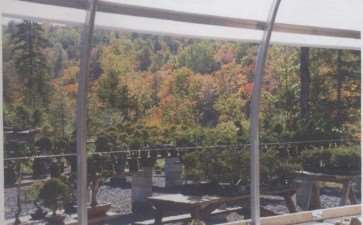 加拿大魁北克盆景协会成员多达200多人