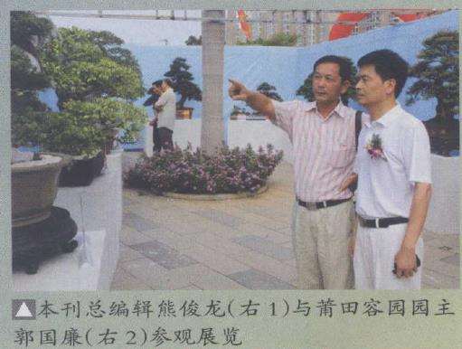 厦门盆景精品展