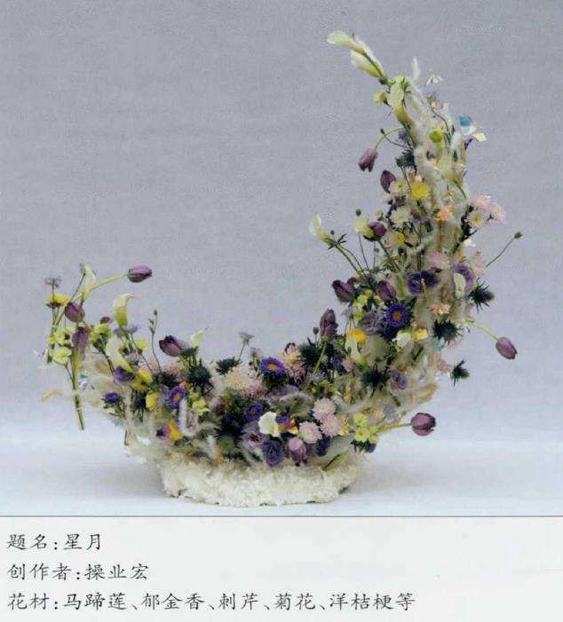 武汉市第36届金秋菊展