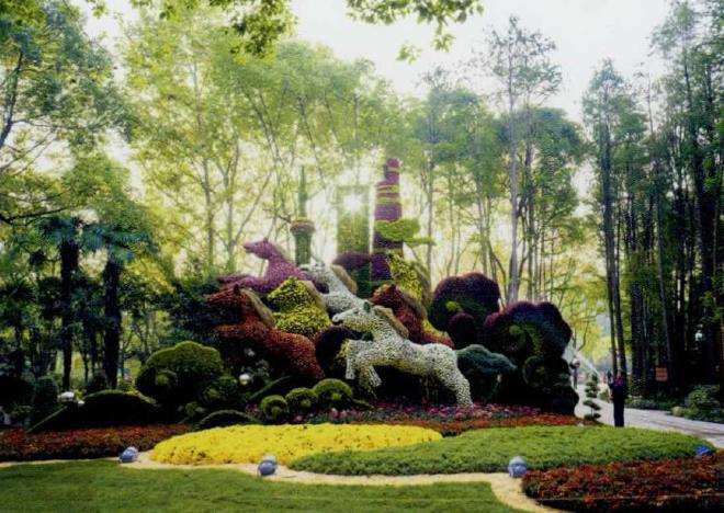 2019 上海举办第十三届中国菊花展