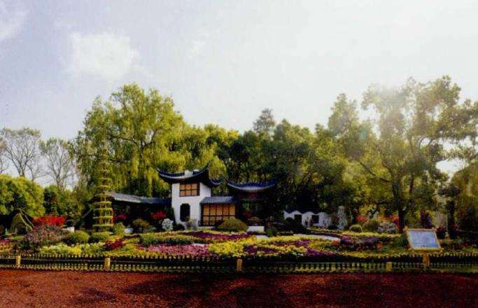 2019 上海举办第十三届中国菊花展