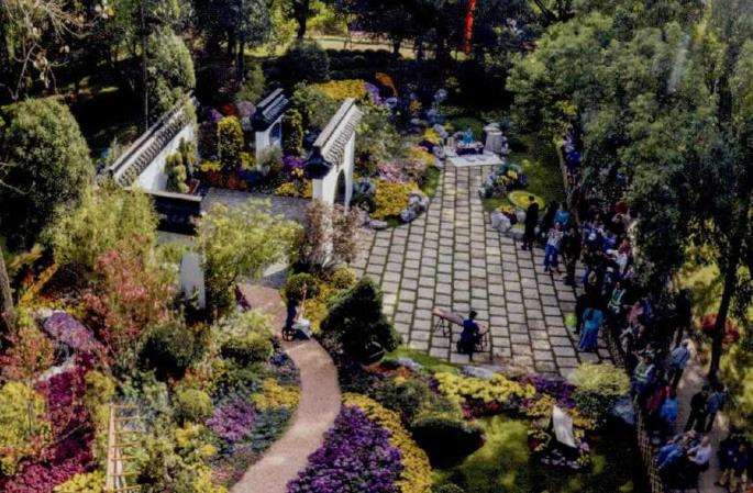 2019 上海举办第十三届中国菊花展