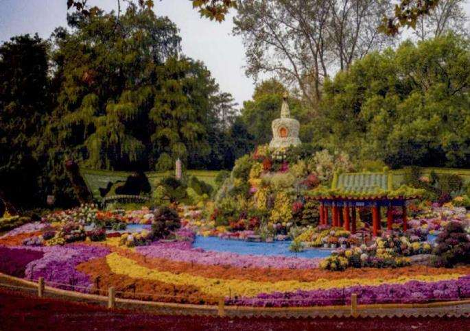 2019 上海举办第十三届中国菊花展