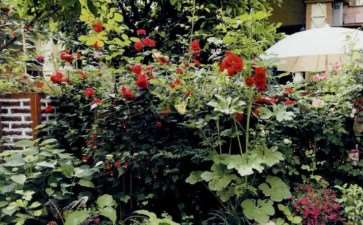 2019 花园家庭摄影大赛的参与者