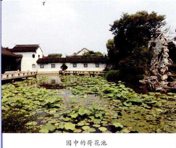 苏州步移景异的严家花园