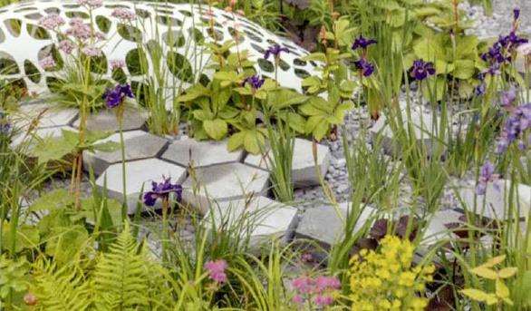 2019 切尔西花展的8个花园