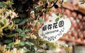 长沙市带花园的房子 怎么样 图片