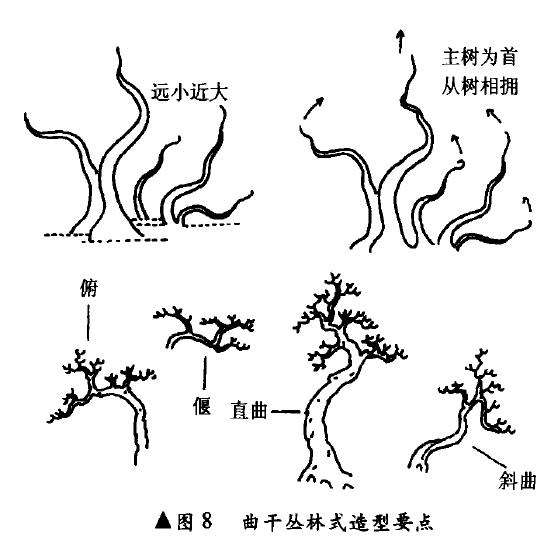 曲干丛林式盆景