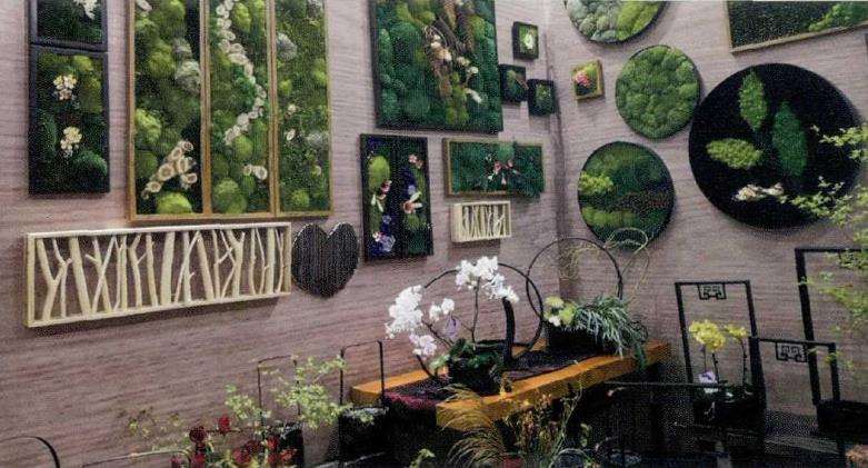 第二十届昆明花展成功举办