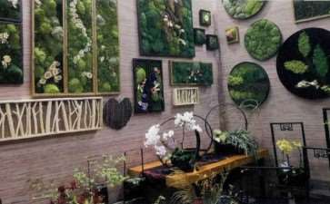 第二十届昆明花展成功举办 图片