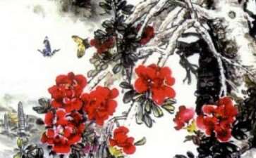 一个喜欢种植花卉的女孩 图片