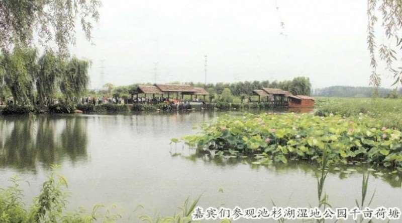 第六届中国荷花品种展成功举办