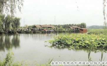 2019 第六届中国荷花品种展成功举办