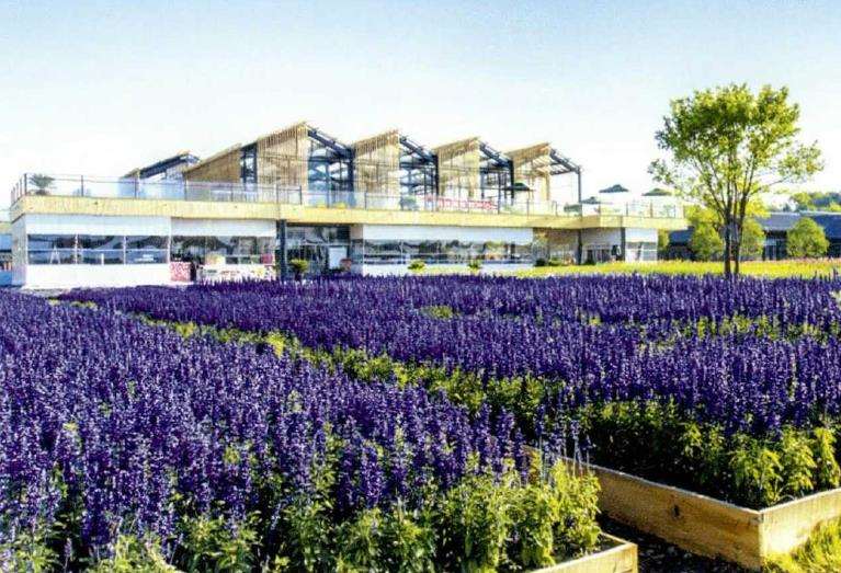 北京世界花卉园艺博览会