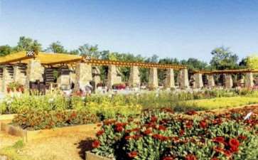 2019 北京世界花卉园艺博览会 图片