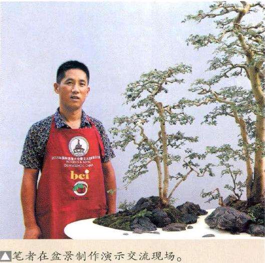 图解 怎么制作树石盆景的13个步骤