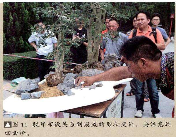 图解 怎么制作树石盆景的13个步骤