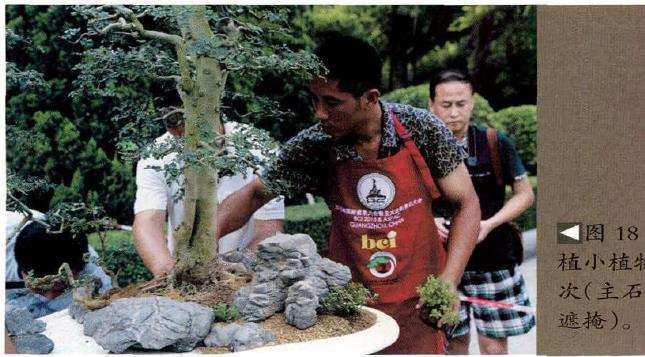 图解 怎么制作树石盆景的13个步骤