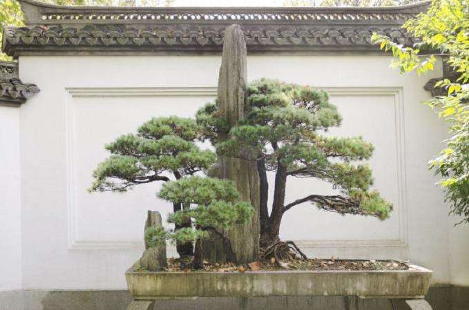 假山盆景文化创意产品