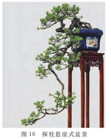 捞月型盆景怎么创作的3个美学