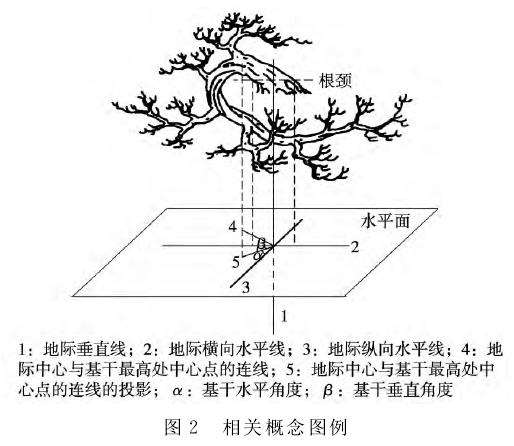 捞月型盆景主要组织结构与概念 图片