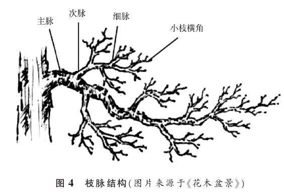 盆景怎么蟠扎蓄枝的3个方法