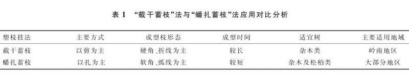 盆景怎么蟠扎蓄枝的3个方法