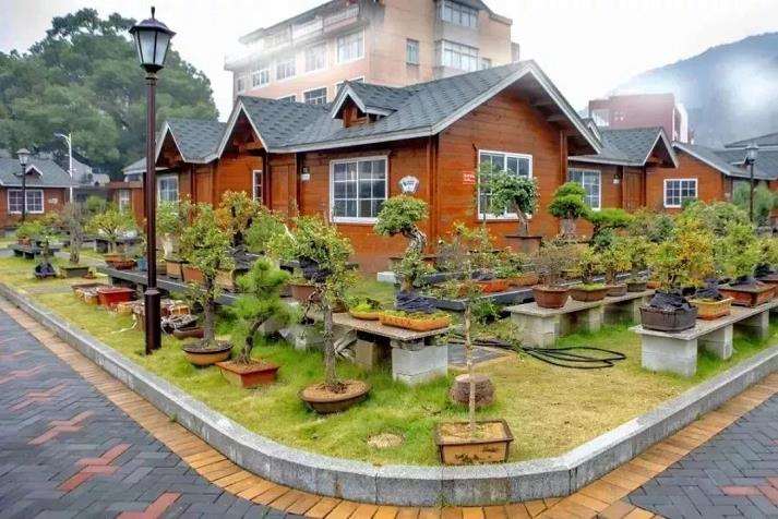 盆景特色小镇发展中存在