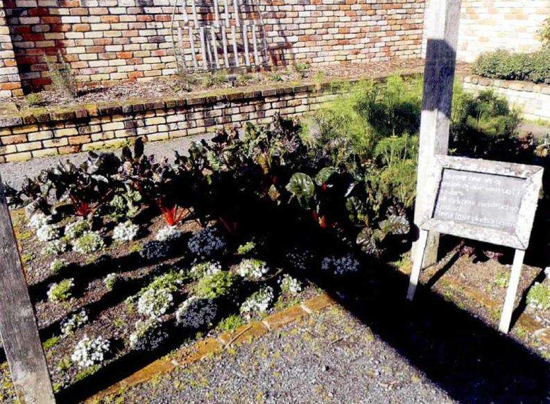 奧克兰植物园有哪些可使用的植物