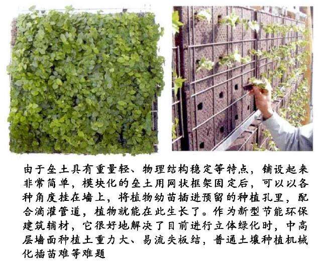 为什么日本植物园用垒土