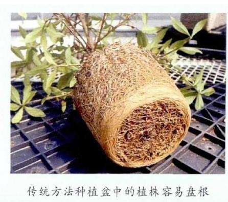 为什么日本植物园用垒土