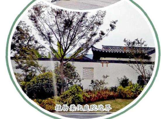 私家庭院植物景观营造