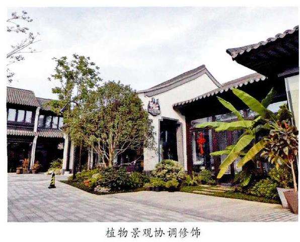 私家庭院植物景观营造