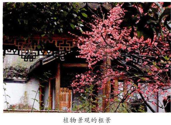 私家庭院植物景观营造