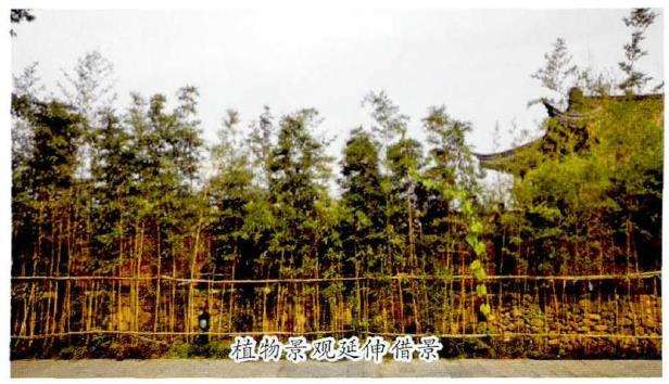 私家庭院植物景观营造