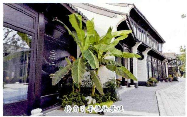 私家庭院植物景观营造