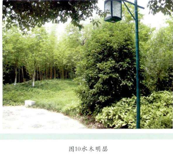 万竹园的景区景点怎么配置的9个方法