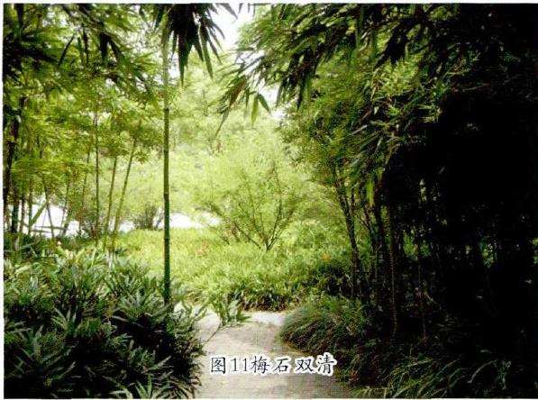 万竹园的景区景点怎么配置的9个方法