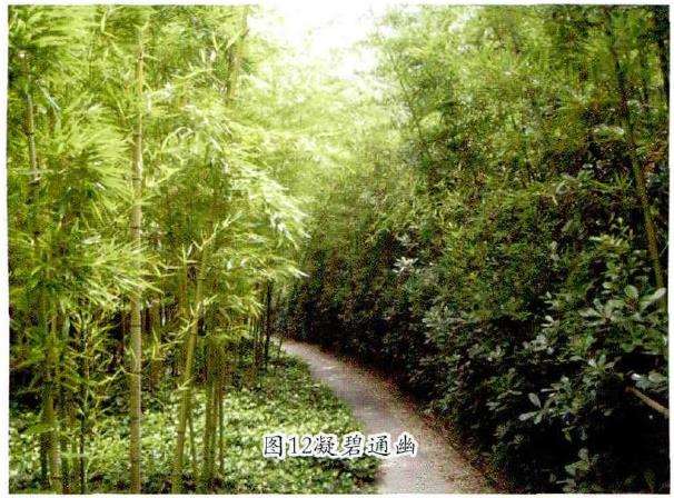 万竹园的景区景点怎么配置的9个方法