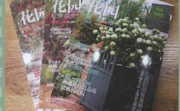 孙艳霞参加2019年世界杯花艺大赛